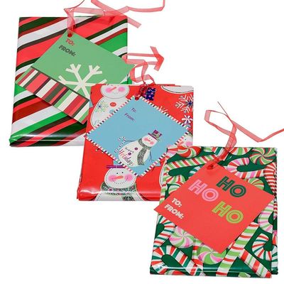 De kleurrijke Plastic Zakken van de Giftomslag voor Kerstmispartij
